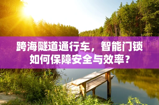 跨海隧道通行车，智能门锁如何保障安全与效率？