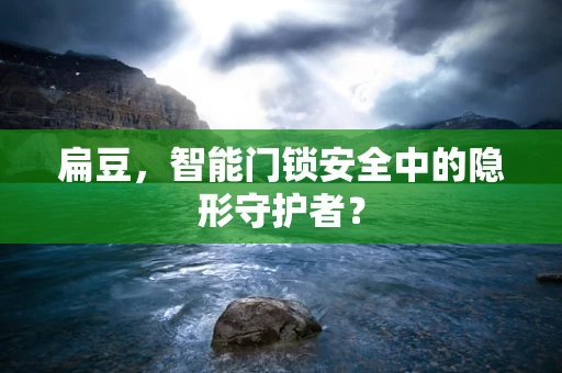 扁豆，智能门锁安全中的隐形守护者？