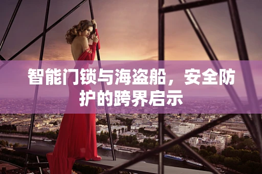 智能门锁与海盗船，安全防护的跨界启示