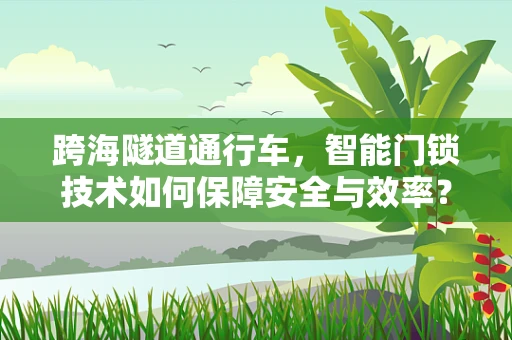 跨海隧道通行车，智能门锁技术如何保障安全与效率？