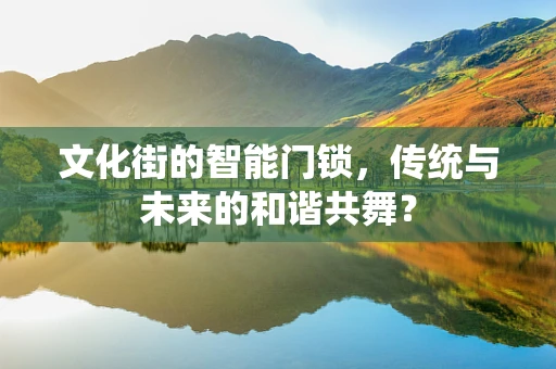 文化街的智能门锁，传统与未来的和谐共舞？