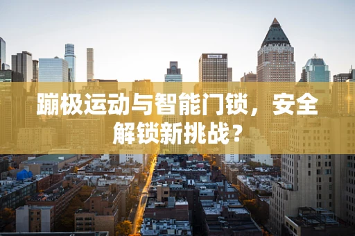 蹦极运动与智能门锁，安全解锁新挑战？