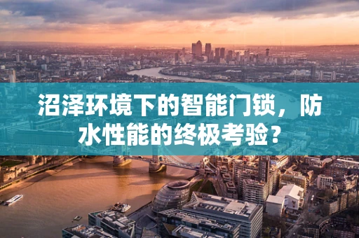 沼泽环境下的智能门锁，防水性能的终极考验？