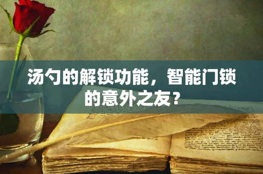 汤勺的解锁功能，智能门锁的意外之友？
