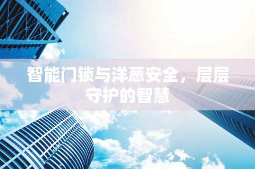 智能门锁与洋葱安全，层层守护的智慧