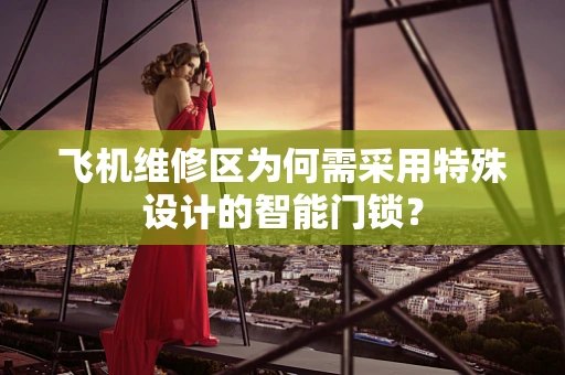 飞机维修区为何需采用特殊设计的智能门锁？