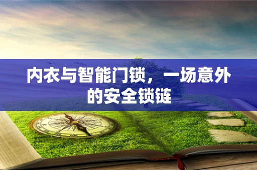 内衣与智能门锁，一场意外的安全锁链