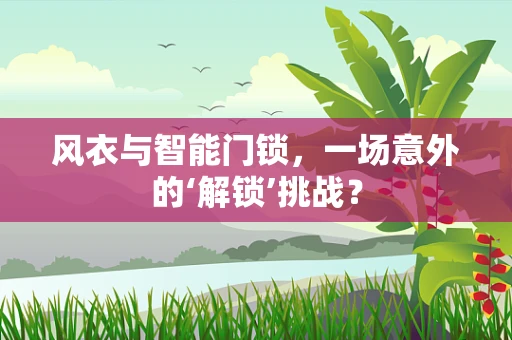 风衣与智能门锁，一场意外的‘解锁’挑战？