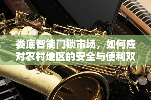 娄底智能门锁市场，如何应对农村地区的安全与便利双重挑战？