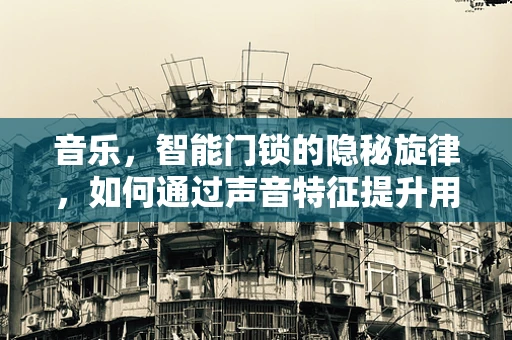 音乐，智能门锁的隐秘旋律，如何通过声音特征提升用户体验？