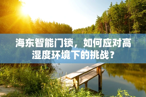 海东智能门锁，如何应对高湿度环境下的挑战？