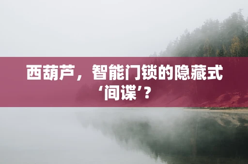 西葫芦，智能门锁的隐藏式‘间谍’？