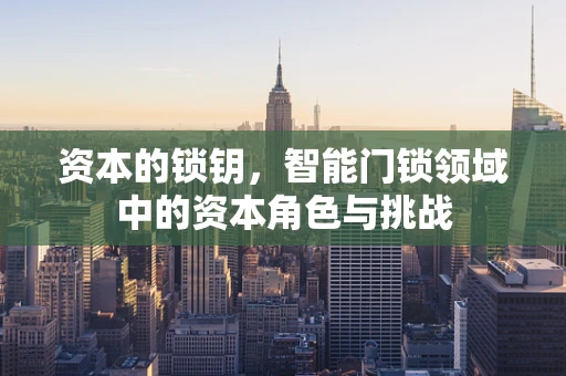 资本的锁钥，智能门锁领域中的资本角色与挑战