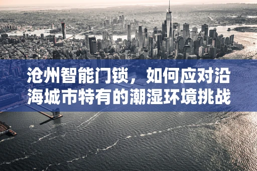 沧州智能门锁，如何应对沿海城市特有的潮湿环境挑战？