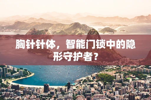 胸针针体，智能门锁中的隐形守护者？