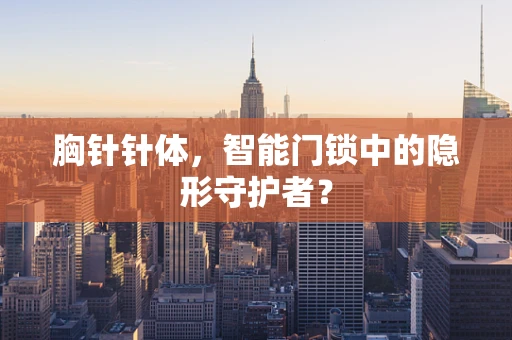 胸针针体，智能门锁中的隐形守护者？