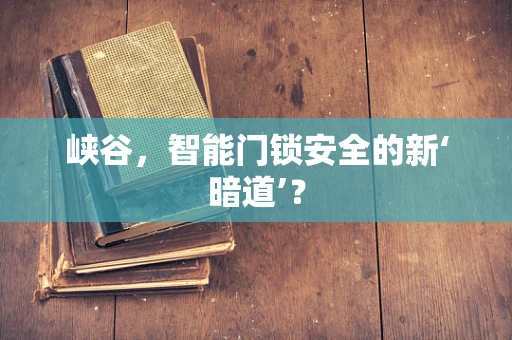 峡谷，智能门锁安全的新‘暗道’？