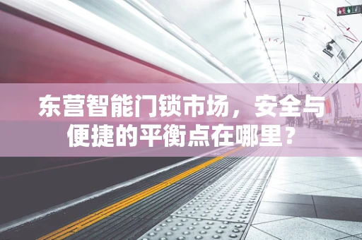 东营智能门锁市场，安全与便捷的平衡点在哪里？