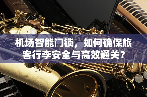 机场智能门锁，如何确保旅客行李安全与高效通关？