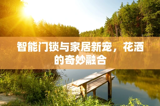 智能门锁与家居新宠，花洒的奇妙融合