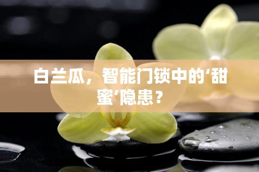 白兰瓜，智能门锁中的‘甜蜜’隐患？