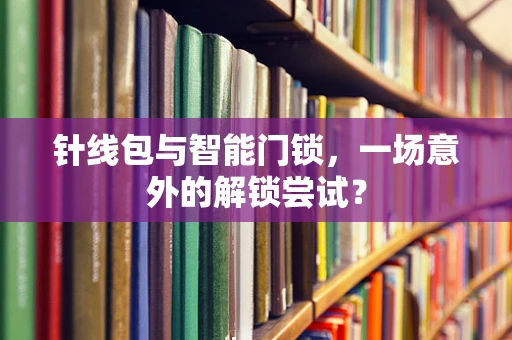 针线包与智能门锁，一场意外的解锁尝试？
