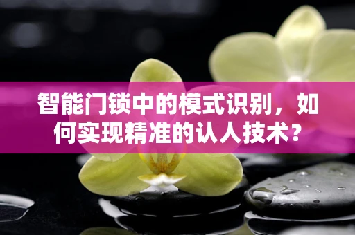 智能门锁中的模式识别，如何实现精准的认人技术？