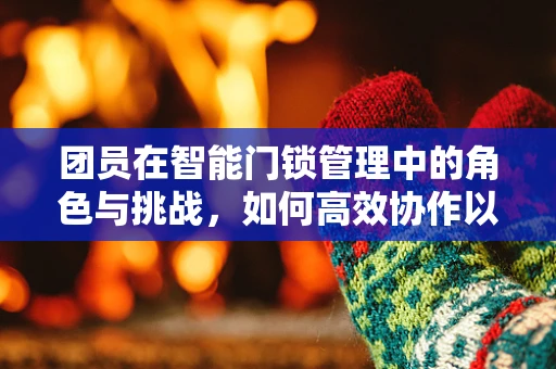 团员在智能门锁管理中的角色与挑战，如何高效协作以保障安全？