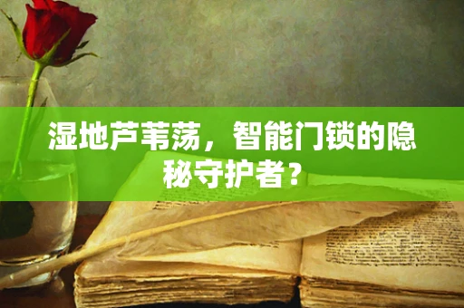 湿地芦苇荡，智能门锁的隐秘守护者？