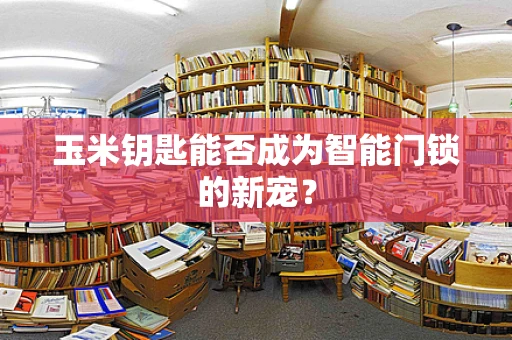 玉米钥匙能否成为智能门锁的新宠？