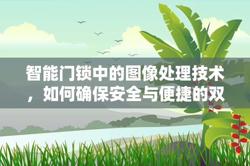 智能门锁中的图像处理技术，如何确保安全与便捷的双重保障？