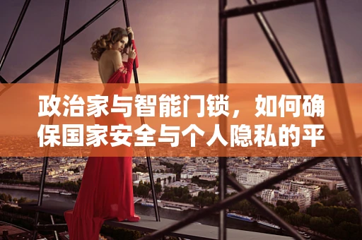 政治家与智能门锁，如何确保国家安全与个人隐私的平衡？