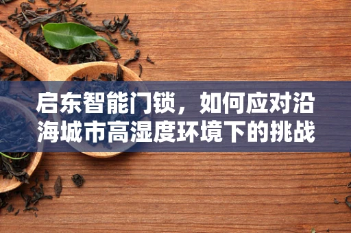 启东智能门锁，如何应对沿海城市高湿度环境下的挑战？