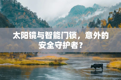 太阳镜与智能门锁，意外的安全守护者？