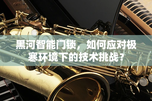 黑河智能门锁，如何应对极寒环境下的技术挑战？