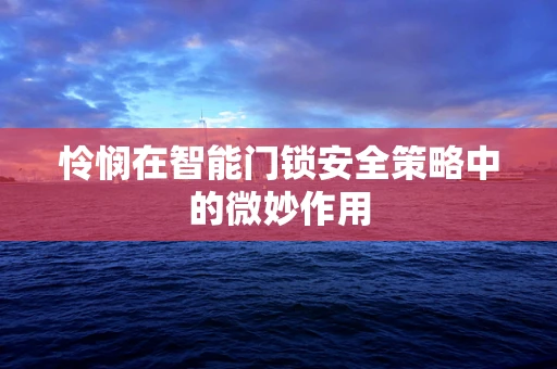 怜悯在智能门锁安全策略中的微妙作用