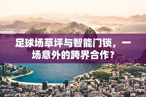 足球场草坪与智能门锁，一场意外的跨界合作？