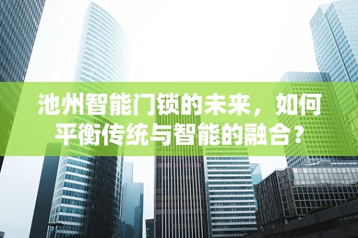 池州智能门锁的未来，如何平衡传统与智能的融合？