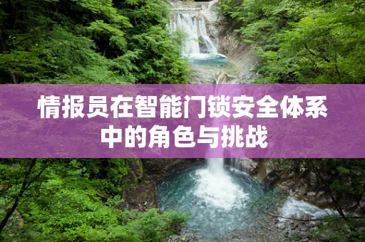 情报员在智能门锁安全体系中的角色与挑战