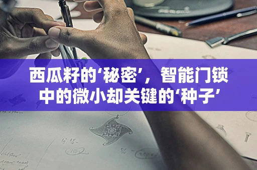西瓜籽的‘秘密’，智能门锁中的微小却关键的‘种子’