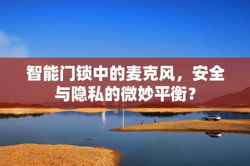 智能门锁中的麦克风，安全与隐私的微妙平衡？