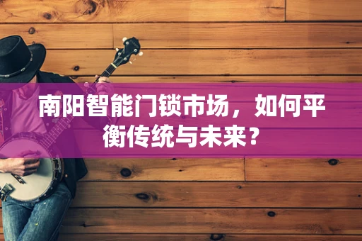 南阳智能门锁市场，如何平衡传统与未来？