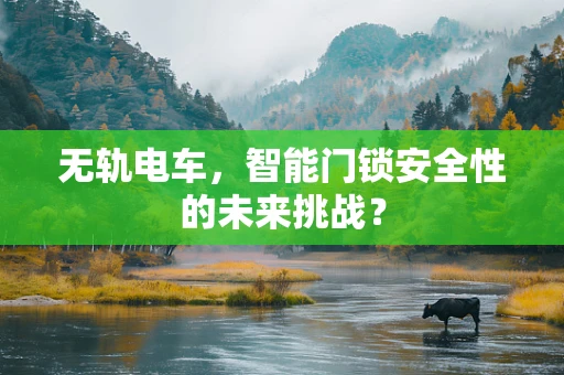 无轨电车，智能门锁安全性的未来挑战？