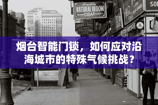 烟台智能门锁，如何应对沿海城市的特殊气候挑战？