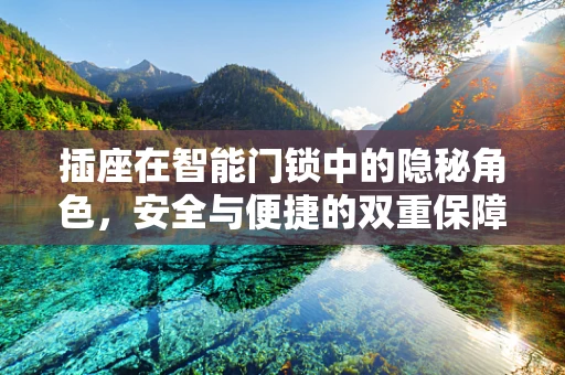 插座在智能门锁中的隐秘角色，安全与便捷的双重保障？