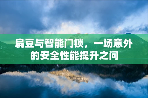 扁豆与智能门锁，一场意外的安全性能提升之问