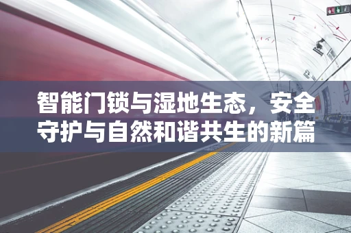 智能门锁与湿地生态，安全守护与自然和谐共生的新篇章？