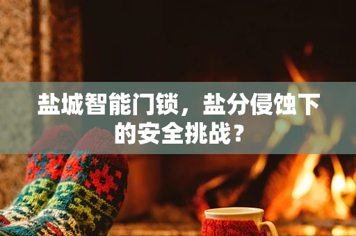 盐城智能门锁，盐分侵蚀下的安全挑战？
