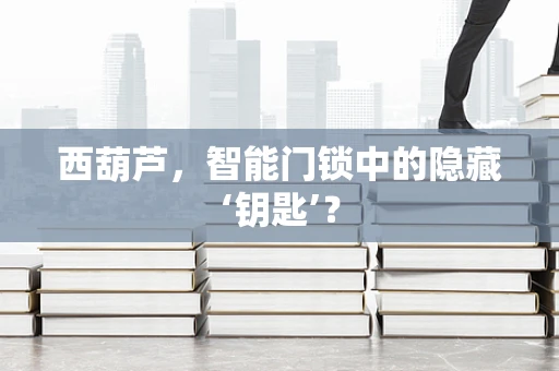 西葫芦，智能门锁中的隐藏‘钥匙’？