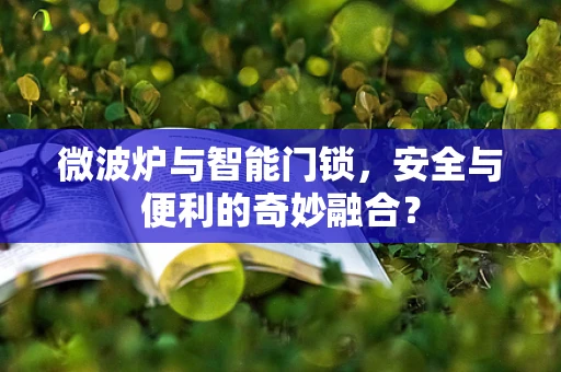 微波炉与智能门锁，安全与便利的奇妙融合？